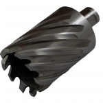 Фреза кольцевая HSS 42x55