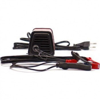 Интеллектуальное зарядное устройство SPRINT-4, изображение 7 от компании Сварнов в Казани